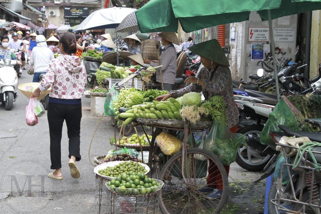 Gadesalg i Hanoi familieferie Vietnam
